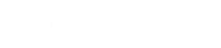 AUTOFFICINA FALCONERI